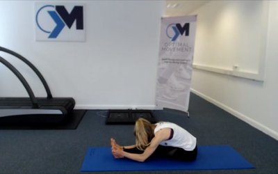 Flexibility for Injury Prevention and Performance 1